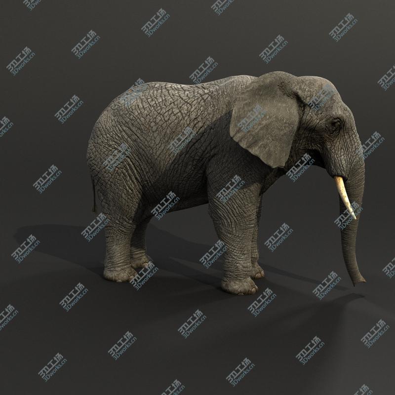 images/goods_img/2021040232/Elephant Rigged/2.jpg